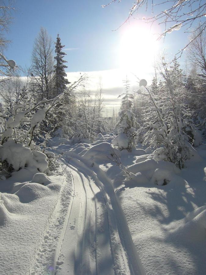 Panoramaboende Torsby Esterno foto